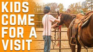 The Cost Of Raising A Colt