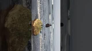 Cinematic short got feeling drunk and highon  Dji mavic air 2 #short #coldplay