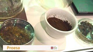 "Proesa" на выставке "Ructie 2017", Москва 2-4 марта