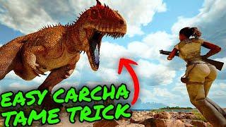 No Trap EASY Carcha Tame TRICK on Ark Survival Ascended!! Easily Tame The Most OP Creature!!!