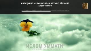 Allohning Marhamatidan Noumid Bo'lmang - Ahluddin Navqotiy - islomUmmati®