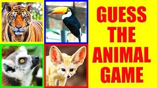 Guess the Zoo Animal Sound Game | Test Your Knowledge