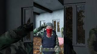 ВОИНСКОЕ ПРИВЕТСТВИЕ В Dayz #dayz #мем  #дейз