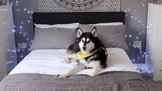 NEW ROOM TOUR! - Tessa.Bear [VLOG]
