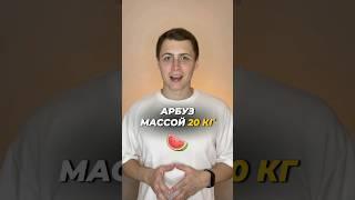 ЗАДАЧА ПРО АРБУЗ  #математика #егэ2025 #егэ #задача #егэпрофиль #профиль