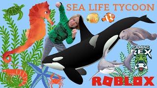 Roblox Sea Life Tycoon Part 2!!