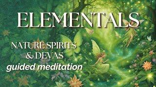 Meet the Elementals, Nature Spirits and Devas with Calista