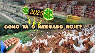 Se você está planejando iniciar uma criação de galinhas em 2025, esse vídeo é para você! 