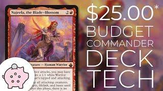 Najeela, the Blade-Blossom | EDH Budget Deck Tech $25 | Tribal | Magic the Gathering | Commander