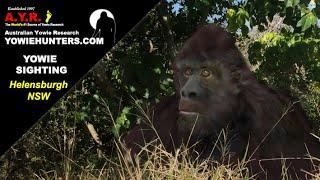 Yowie / Bigfoot Sighting (Audio Report #149), near Helensburgh, New South Wales