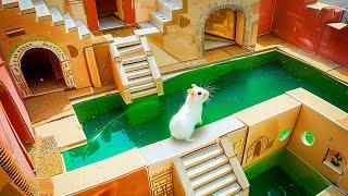 "Hamster Maze Expedition: Journey Through the Impossible!"