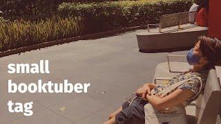 small booktuber tag 