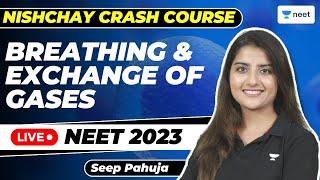 Breathing and Exchange of Gases | Nishchay Crash Course | NEET 2023 | Seep Pahuja