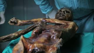 Mummy Research – New Scientific Lab