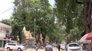 Babacar Diop rêve de faire de Thiès une. "ville sans soleil"