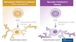 Animated Abstract: Eduardo Tolosa & colleagues (EMBO Mol. Med.)