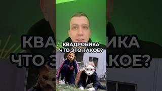 КВАДРОБИКА. Это вообще законно?