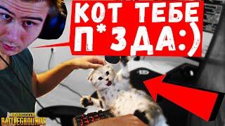 ДРЕЙНИС РОФЛИТ С КОТА! НЕУДАЧИ НА НОВОЙ КАРТЕ!