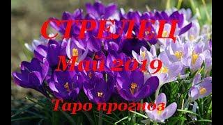 СТРЕЛЕЦ.  МАЙ  2019. ТАРО ПРОГНОЗ. Любовь, деньги, работа.