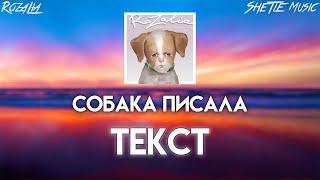 Rozalia - Собака писала (Текст/Караоке)