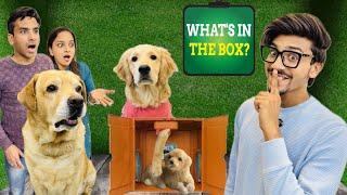 What’s In The Box Challenge | Reo Ko Mila Puppy | Anant Rastogi