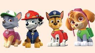 Wrong Heads with PAW PATROL. Learning videos for kids