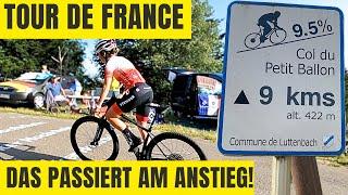 Tour de France Anstieg mit dem MTB! (Petit Ballon)