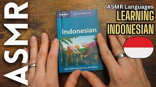 Welsh guy learns INDONESIAN to help you sleep  [ASMR Languages]