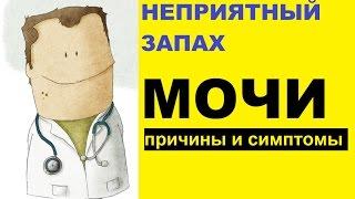 Неприятный запах мочи – причины и симптомы