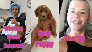 Rhett Gets His Wisdom Teeth Surgery | Puppy Shopping and Reese’s first 5K Run | The LeRoys