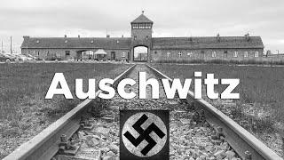 Auschwitz: The DISTURBING Inside Tour With ACTUAL Footage