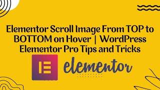 Elementor Scroll Image From TOP to BOTTOM on Hover | WordPress Elementor Pro Tips and Tricks 2023