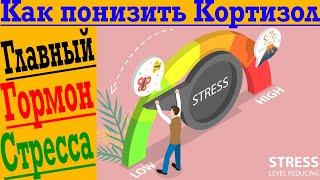 Как понизить Кортизол! Главный стрессовый гормон!