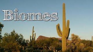 Biomes of the World for Children: Oceans, Mountains, Grassland, Rainforest, Desert - FreeSchool