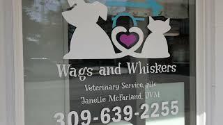 Wags and Whiskers | Williamsfield, Ill.