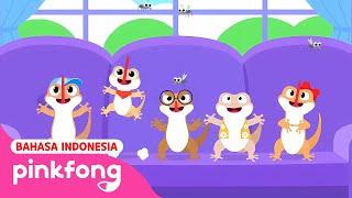 Lagu Cicak | Cicak di dinding, Lima Cicak Lompat, Cicak EDM | Pinkfong Lagu Anak Indonesia