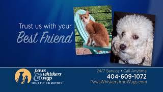 Paws, Whiskers & Wags: Best Friends