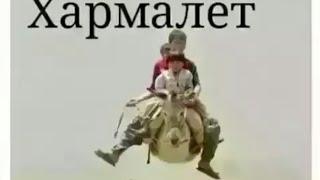 салом дӯстон