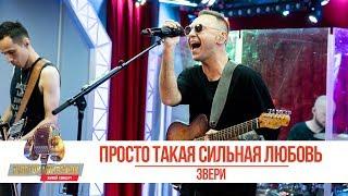 Звери - Просто такая сильная любовь. «Золотой Микрофон 2019»