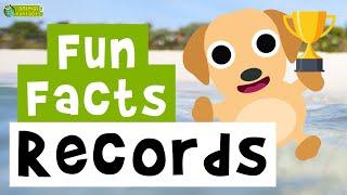 Animal Records  - Cartoon Fun Facts - Animals for Kids - Educational Video