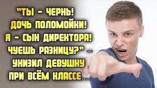 Ты   чернь! Дочь поломойки! Я   сын директора! Чуешь разницу  – унизил девушку при всём классе…