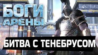 Боги Арены - Битва с Тенебрусом (ios) #8