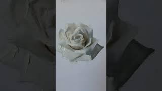 Alla prima rose at Daniel Sprick's Studio