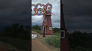 #함안강주해바라기축제 #함안축제 #해바라기 #경남축제 #함안핫플레이스 #개화가늦었지만예쁘다 #안가면후회해요