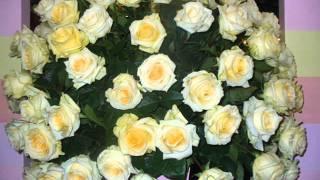 FLOR ECUADOR - AGRIFLOR 2010 / 2011 Flower Fair,  Fresh Cut Flowers, Ecuadorian Roses, Expoflores