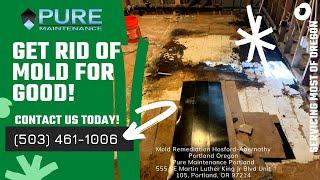 Mold Remediation Hosford-Abernathy Portland Oregon - Pure Maintenance Portland - 503-461-1006