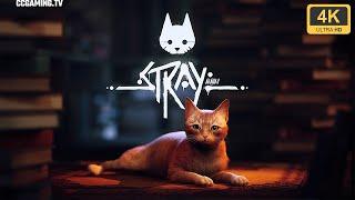 Stray  Cat, Adventure, Immersive, Indie [4K ULTRA HD]