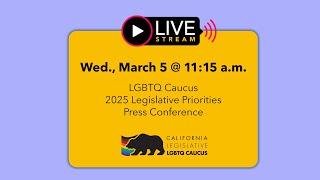 Assemblymember Ward, California LGBTQ Caucus Announces 2025 Legislative Priorities