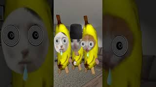 Sad Bananacat Pranked Gman #gmod 