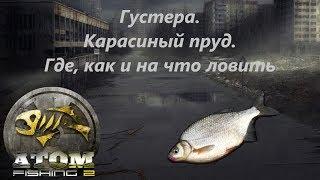 Atom Fishing II - Густера. Карасиный пруд. Где, как и на что ловить.